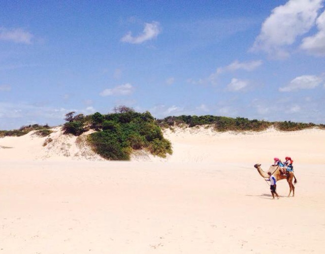 Passeios em Genipabu Passeios em Genipabu